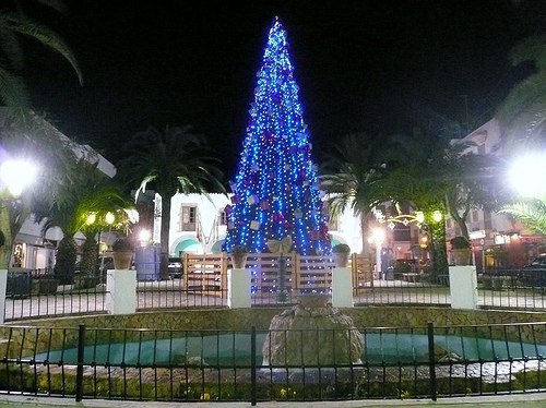 kerstboom-eularia